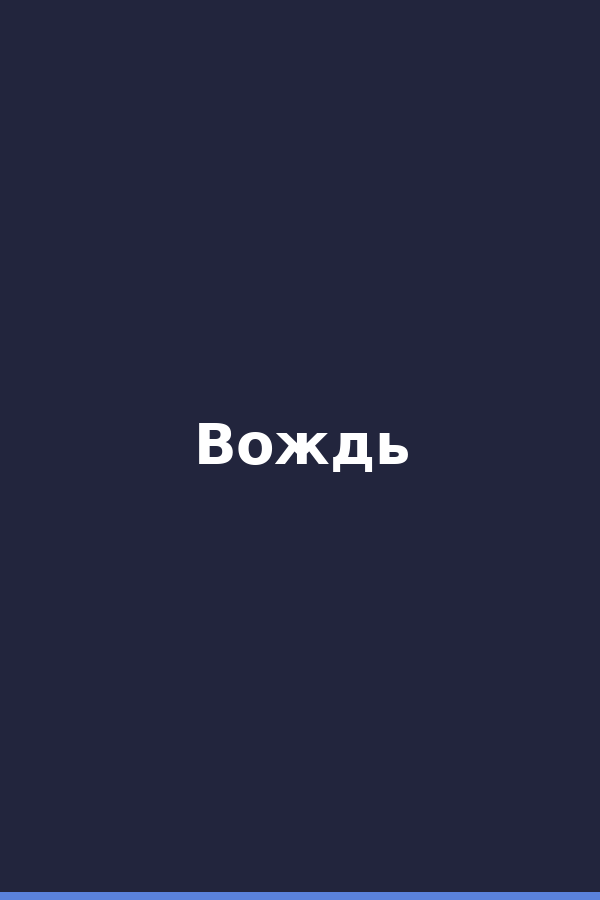 Вождь