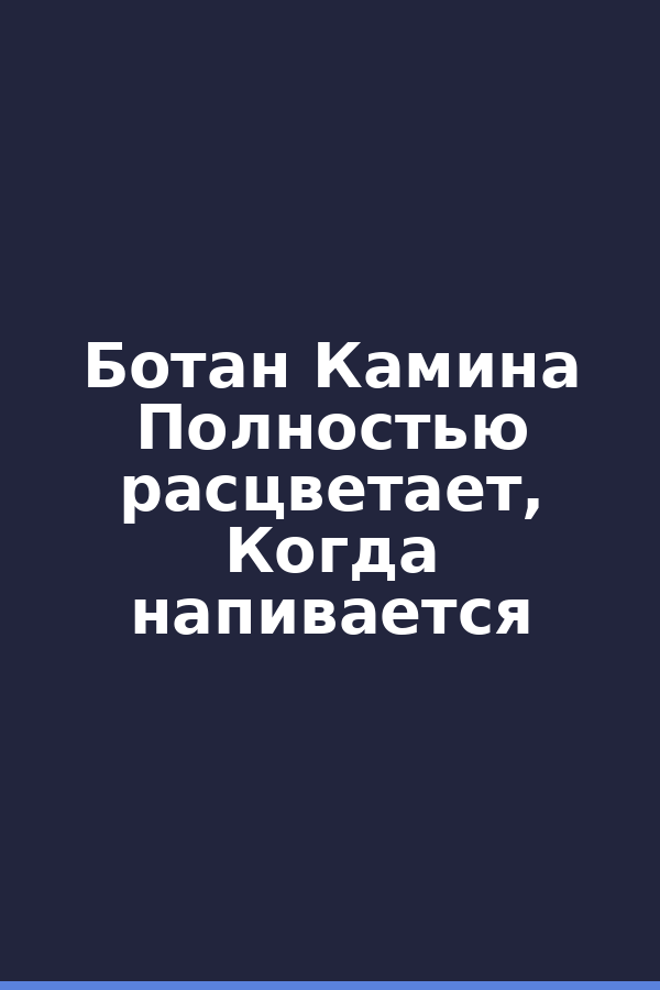 Ботан Камина Полностью расцветает, Когда напивается